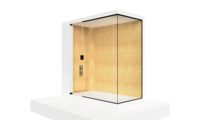 Luxurious glass elevator featuring sleek design with wooden accents and stylish black hardware.