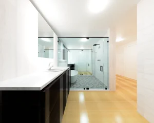 Modern bathroom glass shower with frameless design, sleek black hardware, and premium mirror finishes.